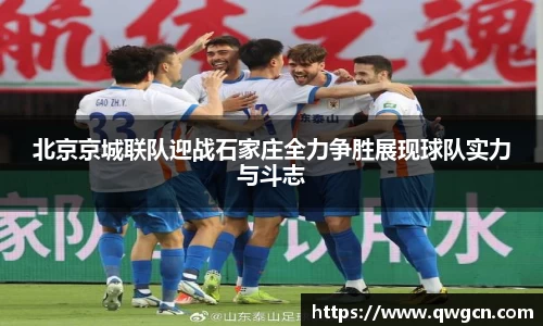 北京京城联队迎战石家庄全力争胜展现球队实力与斗志