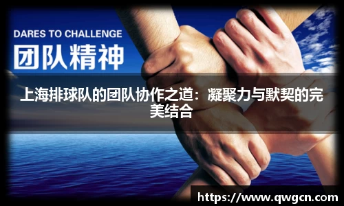 上海排球队的团队协作之道：凝聚力与默契的完美结合